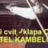 Divji Cvit Klapa Cambi K Kambelovac