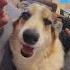 A Man S True Nature Shows In How He Treats His Dog