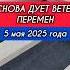 экстренное видео на могиле Юрия Шатунова Shorts шатунов 2025 Short белыерозы ласковыймай