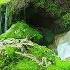 3 Hour Study Music Concentration Focus Meditation Work Music Relaxing Music Study 2620C