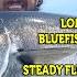 August 25 2022 Long Island Metro Fishing Report With Matthew Broderick