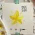 Day 13 Star Christmas Adventcalender Watercolorpainting Everydaywatercolor Lippostcard