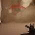 DISRESPECTFUL NEGEV SPRAY Cs2 Csgo Negev