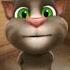 Nandu K Nana Ne Nandu Ki Nani Ko Talkingtom Cat Funny Song Talkingtom Talkingtomshorts Shorts