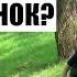 ЧЕМ ЗАНИМАЕТСЯ ВАШ РЕБЁНОК Истории детей Что такое ПТУ закрытого типа