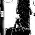 The Yozakura Family S 11th Generation Fyp Shorts