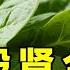 伤肾最狠的菜 伤肝毁肾全是毒 99 的老人却天天吃 精选
