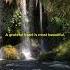 Relaxing Music Nature Sound Relaxation Bird Sound Water Sound Viral Relaxing Meditation