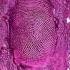 Nicki Minaj Bed Of Lies Feat Skylar Grey NO RAP