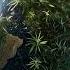 Wiz Khalifa Top Down Feat Ty Dolla Ign And JasonMartin Official Audio
