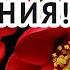 С днем рождения тебя Поздравление для всех у кого ДЕНЬ РОЖДЕНИЯ в МАЕ