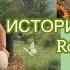 Истории Роблокс из Тик Тока Roblox истории из тт