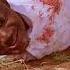 Manzy Weezy Oruwa Designer Chigumula Official Music Video