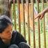 Ly Tu Hoa From Despair To Self Reliance Single Mother Sung A Pao HG
