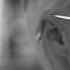 Dash Berlin Feat Emma Hewitt Disarm Yourself Official Music Video