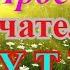 ПРОСТО ЗАМЕЧАТЕЛЬНОЕ ЛЕТНЕЕ УТРО