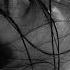 Robert Cristian Don T Give Up Original Mix