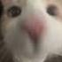Bad Habit Steve Lacy Sped Up Reverb