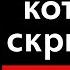 Запрещённый метод общения с Вселенной как у Богов