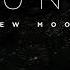 Luna New Moon Audiobook By Ian McDonald