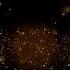 J S Bach Brandenburg Concerto No 5 In D Major BWV 1050 HQ