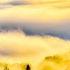 Healing Music For The Heart And Blood Vessels Delicate Music That Calms The Nervous System