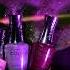 Fall 2024 Collection Twilight Temptation Unboxing