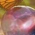 Manifest Abundance With 528Hz 741Hz 432Hz Frequencies Thank You Universe