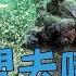 海洋垃圾 海塑去哪兒 了解台灣海底垃圾有哪些 我們的島 第1085集 2020 12 14
