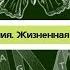 Биология 8 класс 21 Механизм дыхания Жизненная ёмкость лёгких