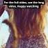 Love Song Music Lovesong Coversong Cover Brokenheart Lowfi Musicvideo