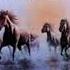 Bob Seger The Silver Bullet Band No Man S Land On HQ Vinyl With Lyrics In Description