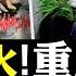大旱後有大地震 中國熱浪破全球紀錄 災情超想像 被指與地質運動有關 重慶河面冒火不尋常 學界 旱震關係 理論早有論述 三年為期 長江水位創歷史最低 大陸 女網管 透露管治內幕 新聞拍案驚奇 大宇
