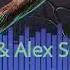 Jim Yosef Alex Skrindo Ruby NCS Release