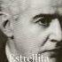 Andrej Power Estrellita By M Ponce J Heifetz