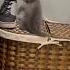 Sterling S Favorite Hangout My Daughter S Clothes And Shoes