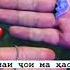 ишки рафта