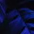 Shambala Radio 013 5