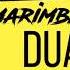 Marimba Ringtone Remix Break My Heart Marimba Remix Of Dua Lipa Download For IPhone 2020