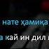 Минуси охи дили зори мара ту намедони