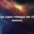 Сура Бакара аяты 32 33 аят ислам коран сура чтениекорана