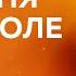 Графиня поневоле Лора Вайс АУДИОКНИГА