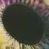 Arcade Fire The Lightning I II Official Audio