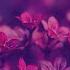 House Kye Sones Flowers Youngr Bootleg