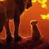 Songhao Zhu Seth Rogen The Lion Sleeps Tonight From The Lion King Audio Only