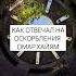 КАК ОТВЕЧАЛ НА ОСКОРБЛЕНИЯ ОМАР ХАЙЯМ ПРИТЧА