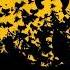 Wu Tang Clan Avengers Of Shaolin 2 Had The Burner
