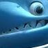 Saving A Shark Madagascar A Little Wild DreamWorks Madagascar