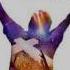 Trisha Yearwood I Won T Give Up From The Passion New Orleans Television Soundtrack