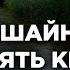 Попрошайничать или взять кредит Пользы из Сахиха Муслима Абу Яхья Крымский